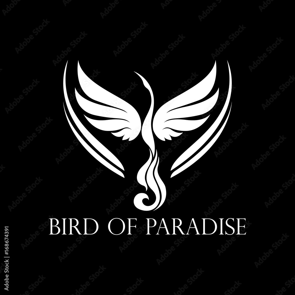 swan logo swan logo
