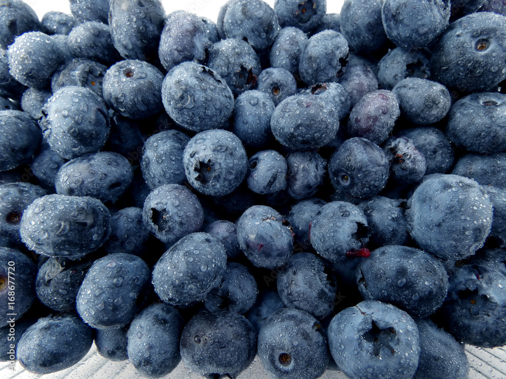 Blueberries macro isolated on white background Blueberries macro isolated on white background