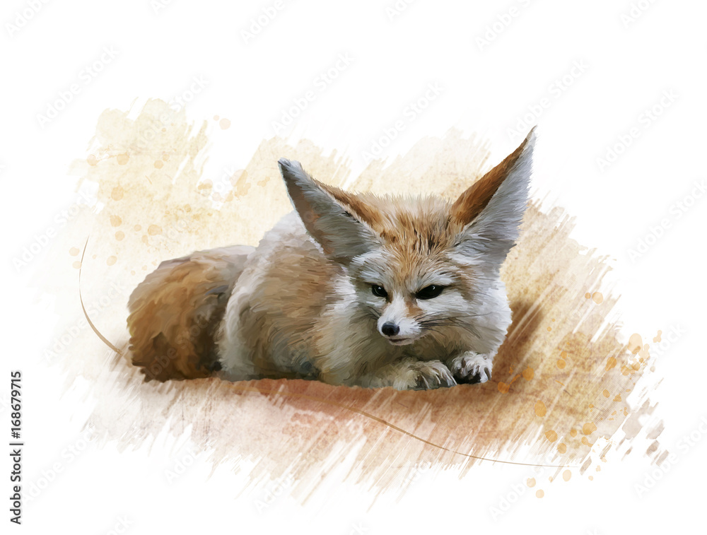 Fennec Fox watercolor