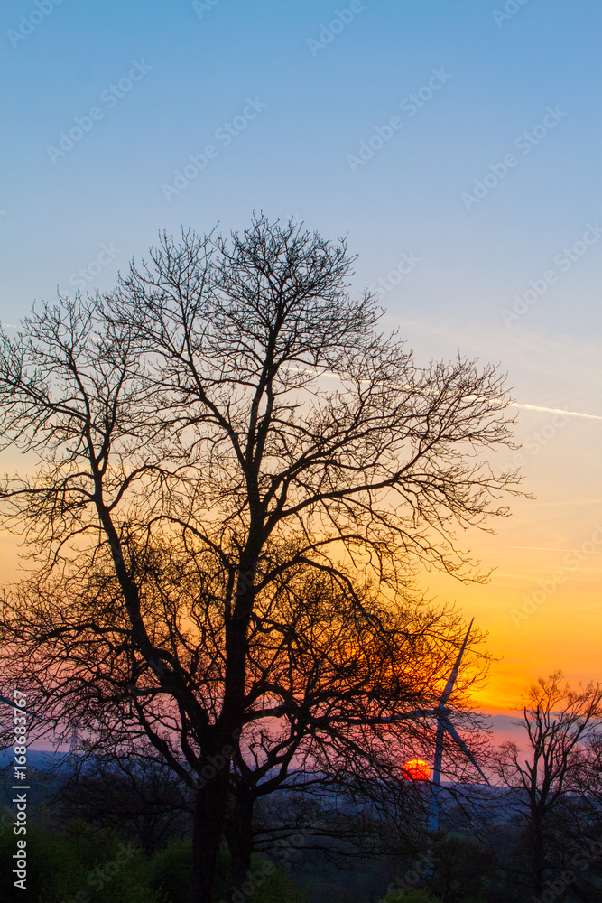 Modern windmills or wind turbines in the countryside at sunset through the trees