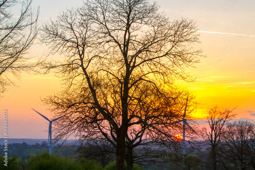 Modern windmills or wind turbines in the countryside at sunset through the trees