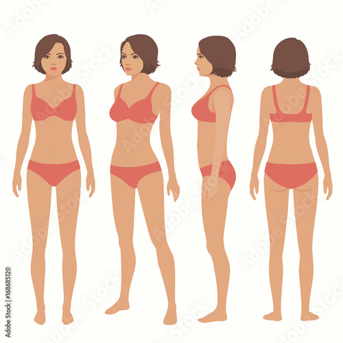 human body anatomy, front, back, side view, vector woman illustration 