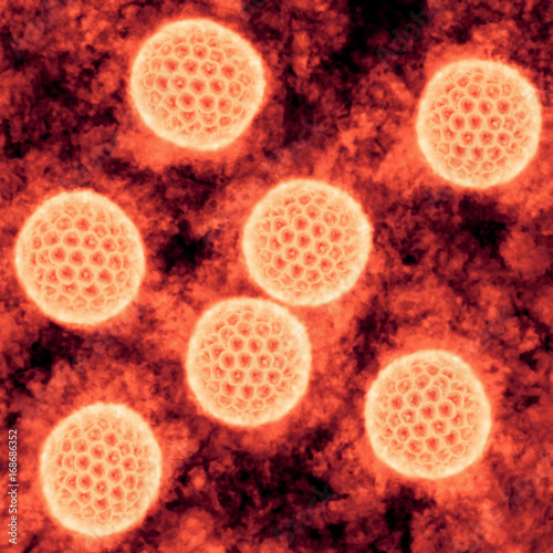 Microscopic view of the Zika Virus photo