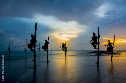 Fototapeta Silhouettes of the traditional Sri Lankan stilt fishermen on a stormy in Koggala, Sri Lanka
