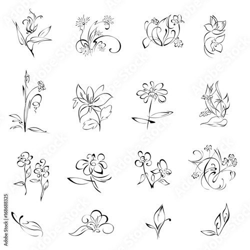 flowers 14. SET. stylized flowers in black lines on a white background. SET