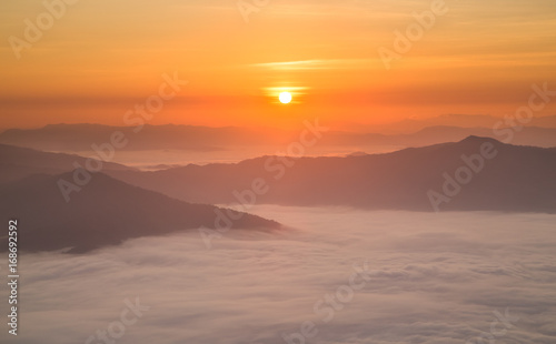 Sunrise landscape of foggy and cloudy mountain valley Doi Pha Tang chiang rai thailand