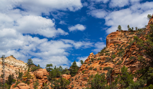 Beautiful, abstract, redstone rock formations in Zion National Park, Utah, in autumn photo