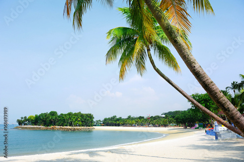 Photography Tropical beach scenery in Singapore