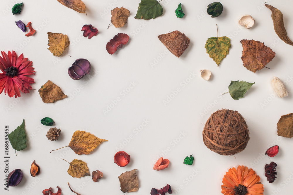 Autumn background: From above view of composition made of fallen leaves, dried flowers and dry plants on white with circle empty space in center. Top view. Flat lay.