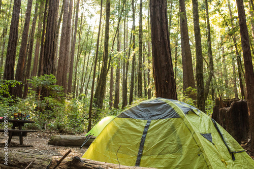 Fényképezés Tent under a dense redwood forest in a California campground