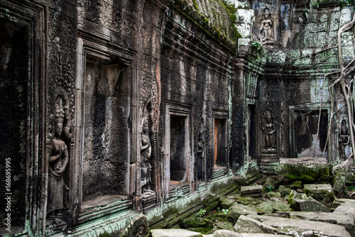 Ta Prohm temple ruins hidden in jungles  Siem Riep  Cambodia