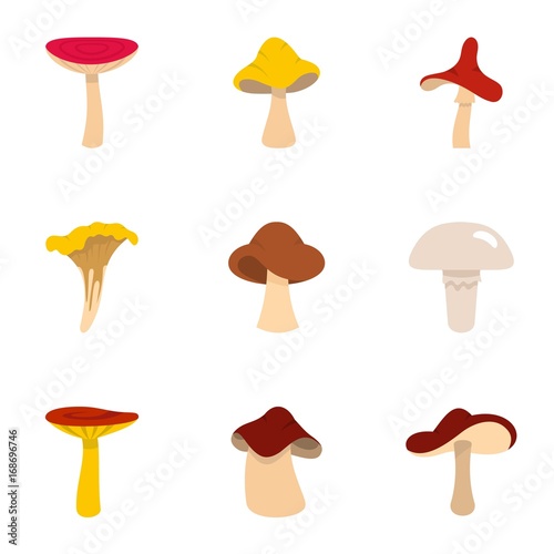 Fresh mushroom icon set, flat style
