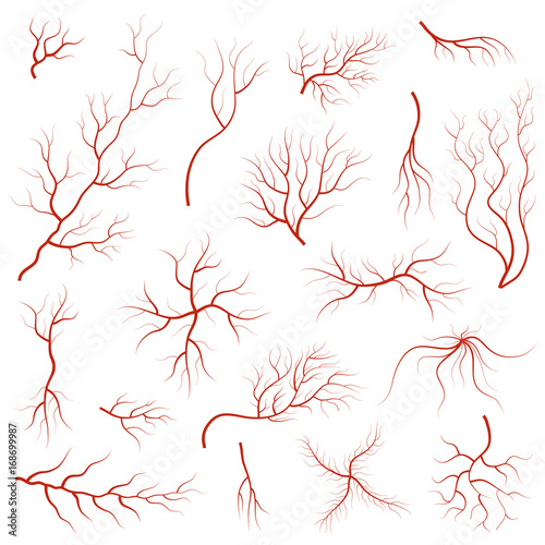 Cartoon Vein Blood Set. Vector