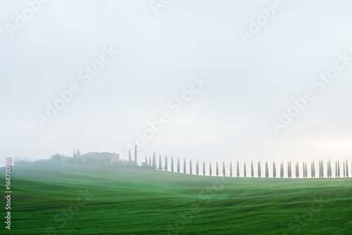 .Typical Italian landscape in Tuscany