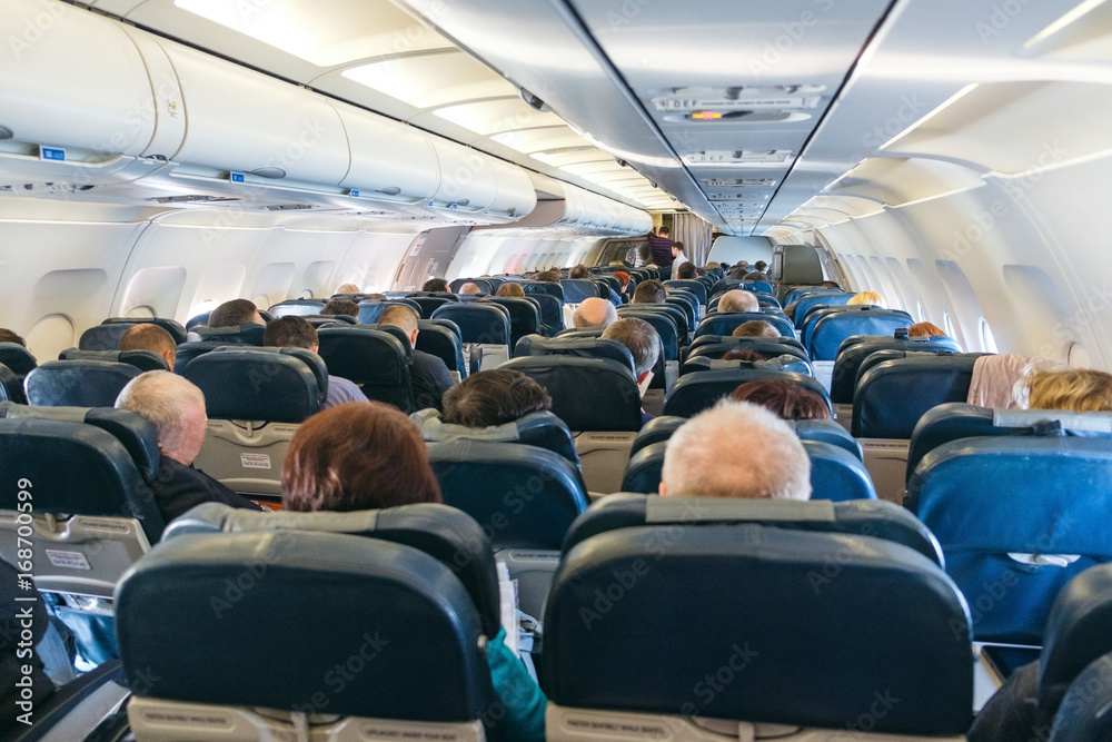 custom made wallpaper toronto digitalback view of passengers on chairs inside aircraft