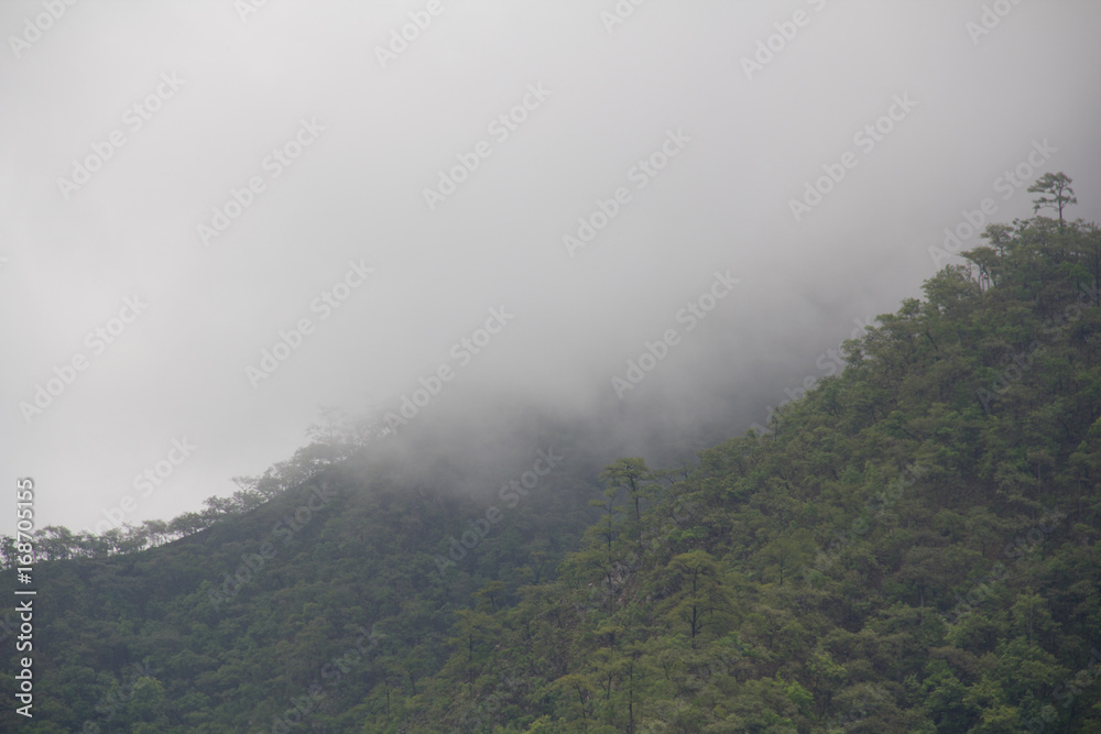 Cloud on the mountain Cloud on the mountain
