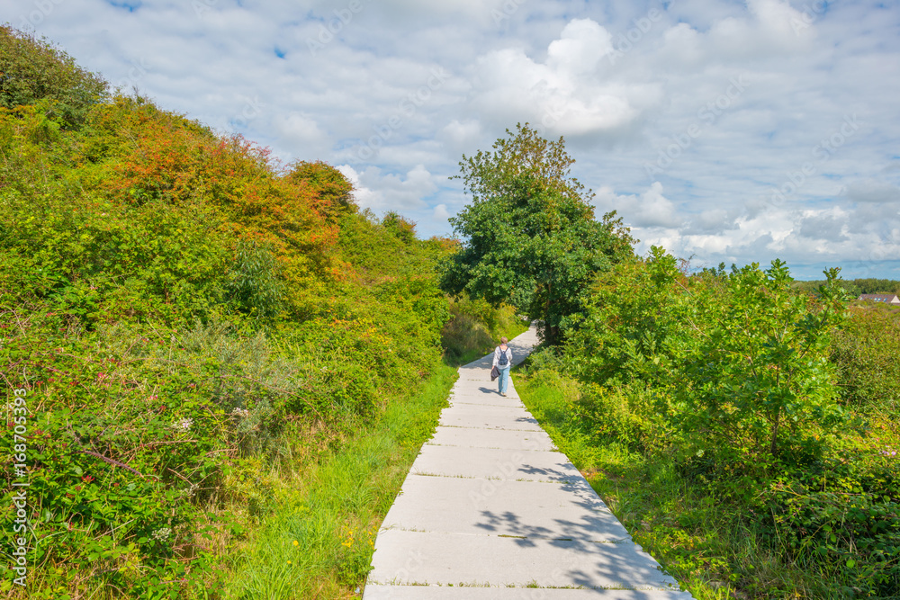Path through sand dunes in sunlight in summer