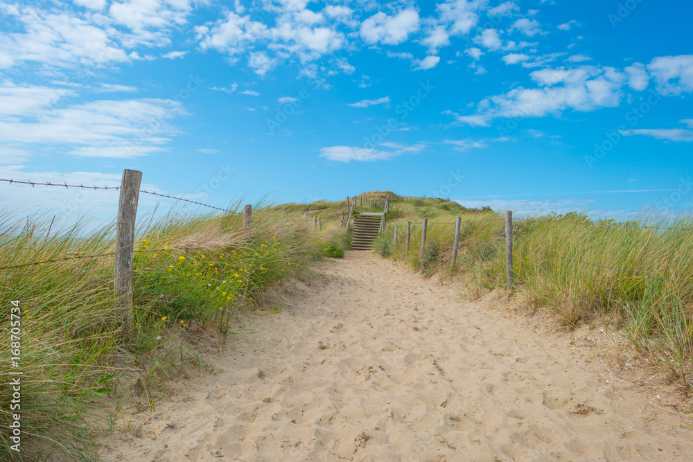Fototapeta premium Sand dunes below a blue cloudy sky in summer