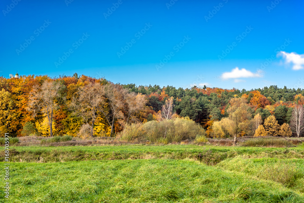 Panoramic landscape of autumn forest, scenic landscape with autumn trees on green field and blue sky in sunny day