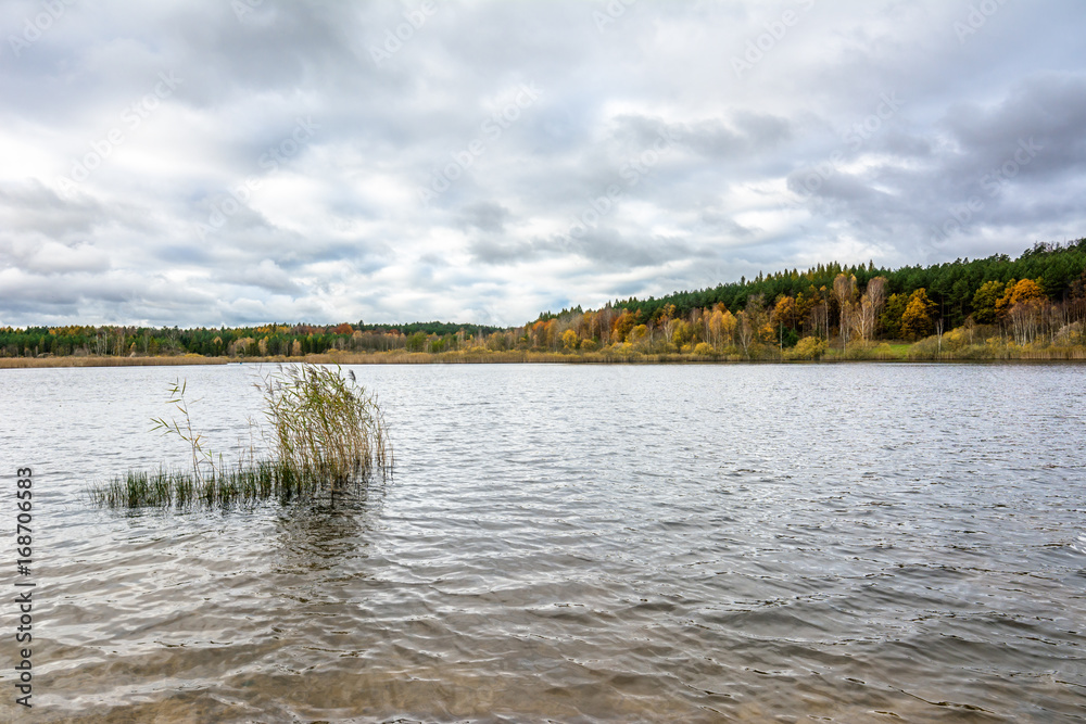 Obraz premium Cloudy autumn landscape with lake and forest