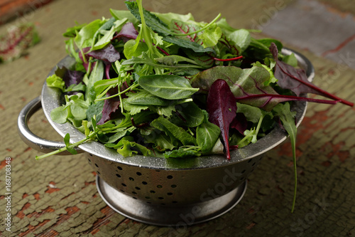 Fresh organic salad greens in colander