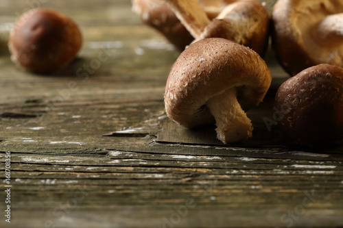  mushrooms on wooden boards