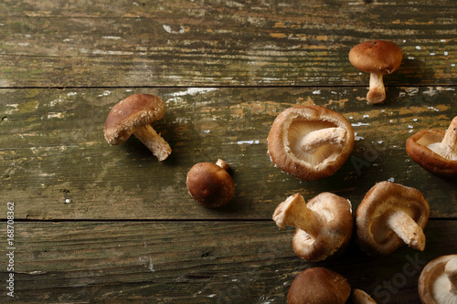 shiitake on wooden boards