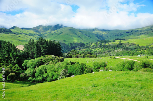 Mountain scenery in summer in Akaroa New Zealand.
