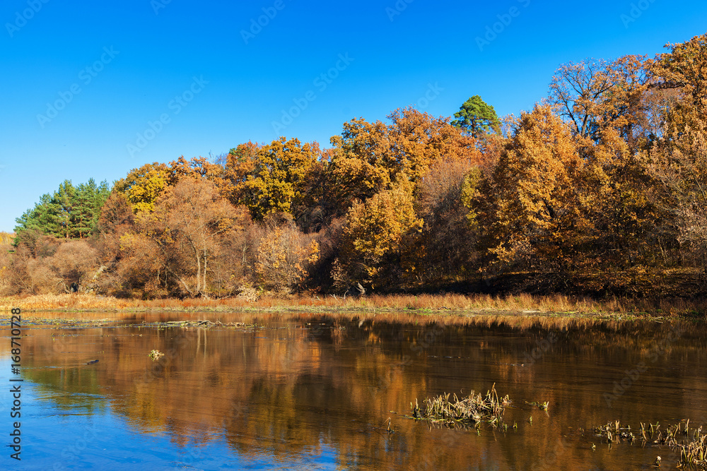 Autumn trees along a calm river.