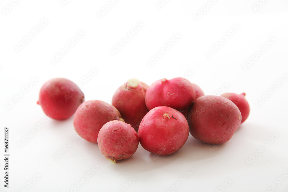 Obraz premium Radish vegetable isolated in white background