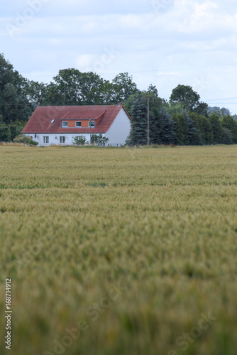 View over field to the historic farm Eichenhof (lit. oak farm) at Jager, Mecklenburg-Vorpommern, Germany