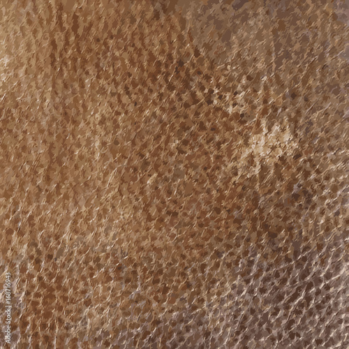 Leather texture - vector background