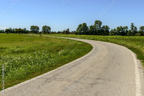Fototapeta Naklejka Na Ścianę i Meble -  country road bending among rice fields near Motta Visconti, Italy