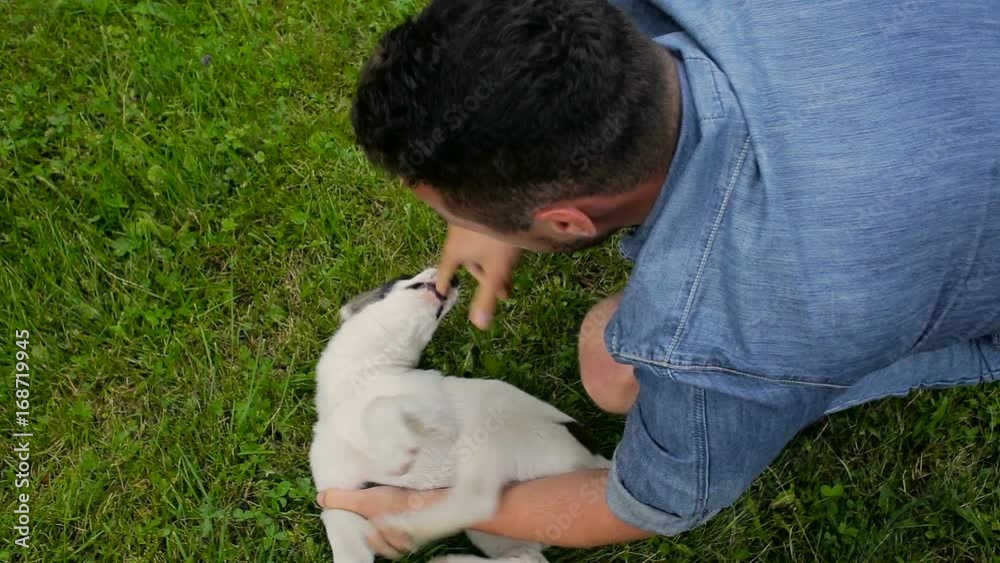 Young handsome man playing with puppy in the garden Young handsome man playing with puppy in the garden