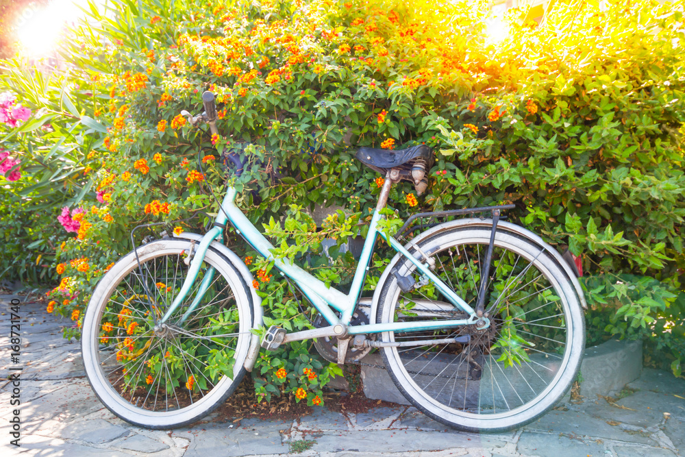 Bicycle parked near a tree flower in garden background in summer time.