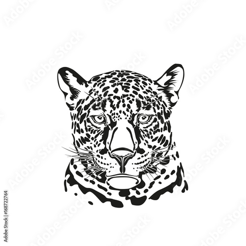 Black and white vector sketch of a muzzle of a jaguar