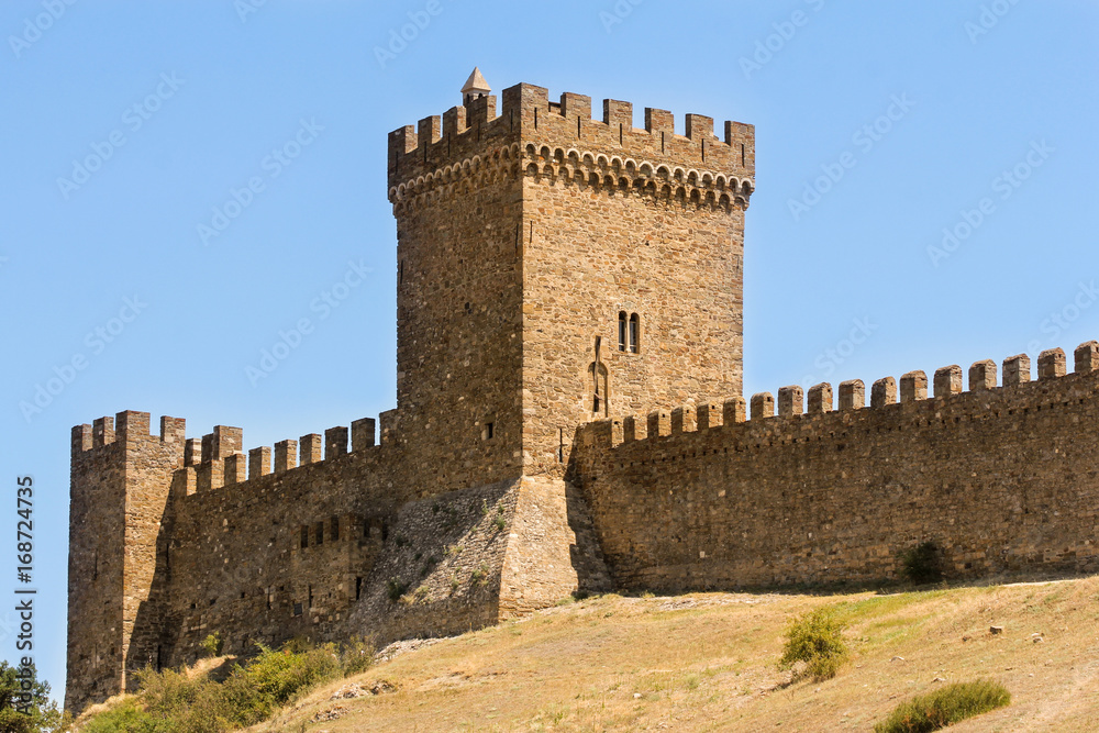 Fortress wall with towers.