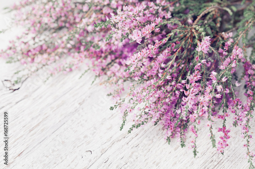 Heap of pink heather flower (calluna vulgaris, erica, ling) on white rustic table. Greeting card for mother or woman day. photo