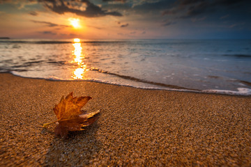 Beautiful sunrise over the sea