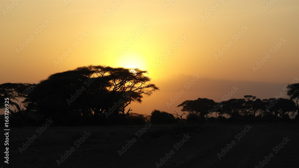 Amboseli Park