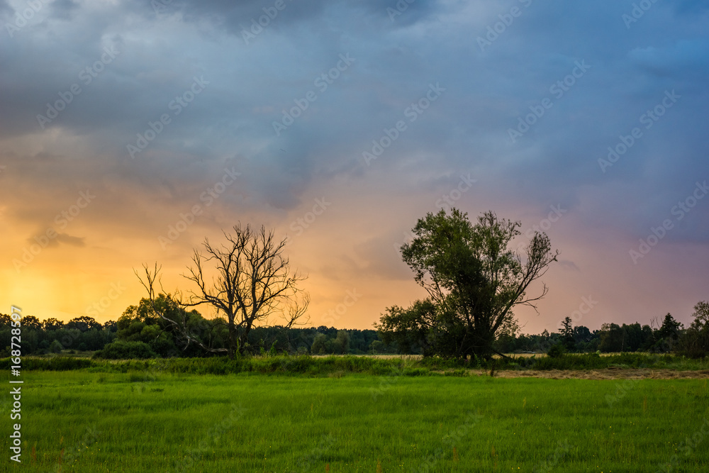 Beautiful twilight over the meadow and lonely tree near Jeziorka river, Poland Beautiful twilight over the meadow and lonely tree near Jeziorka river, Poland
