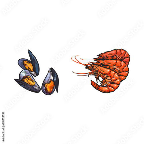 vector sketch cartoon sea crayfish lobster, mussels set. Isolated illustration on a white background. Sea delicacy food concept