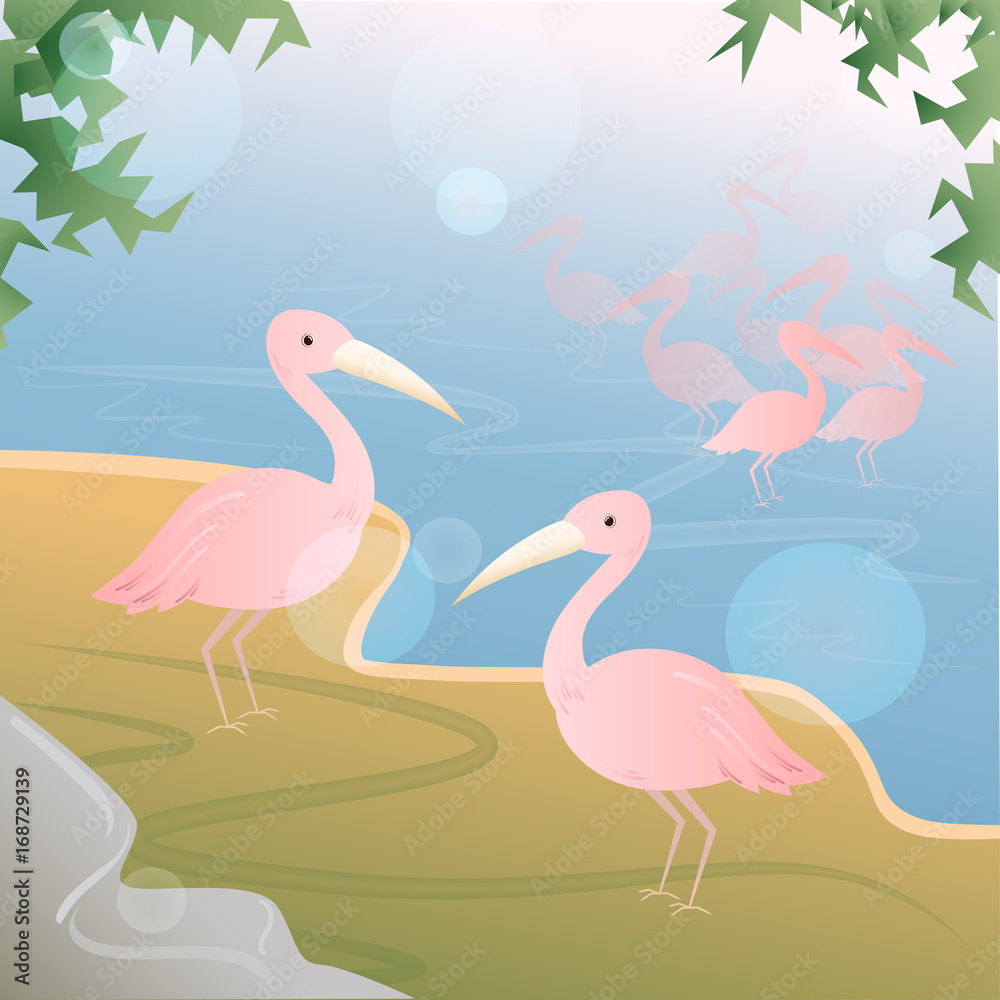 Pink pelicans standing at the lake