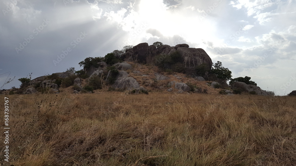 Serengeti Serengeti