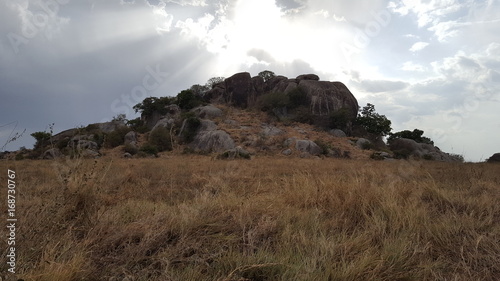 Foto Serengeti