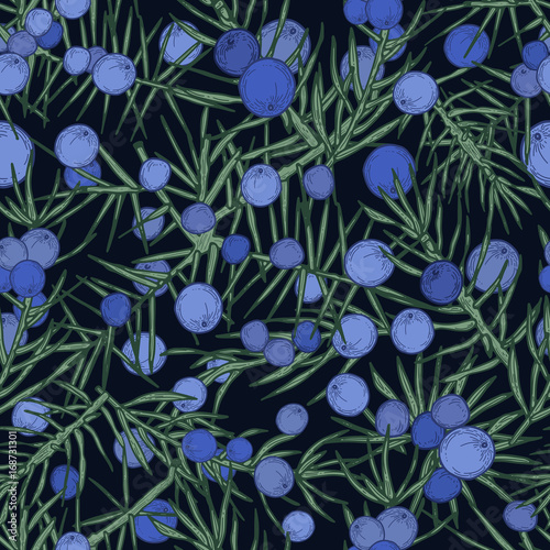 Juniper seamless pattern. Detailed hand drawn branches with berries. Colorful hand drawn illustration.