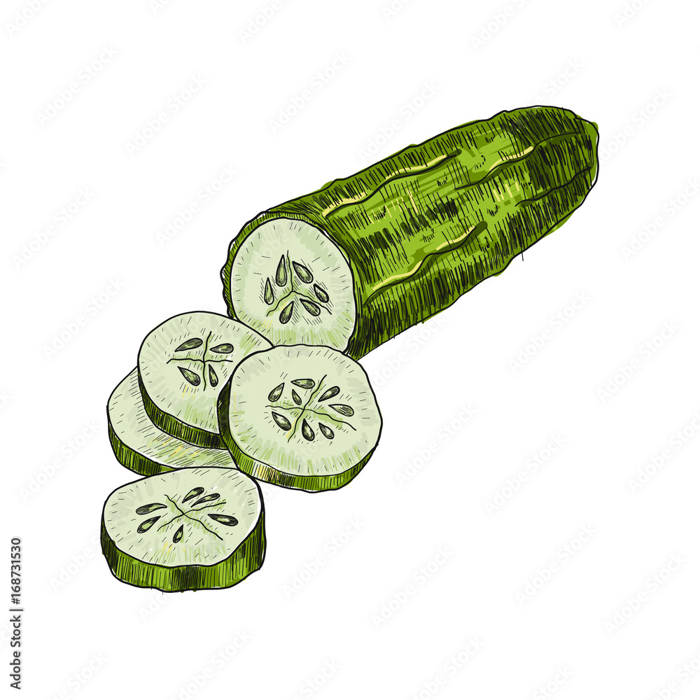 Hand Drawn of Fresh Green Cucumber on White Background Zip Pouch by Iam Nee  - Pixels