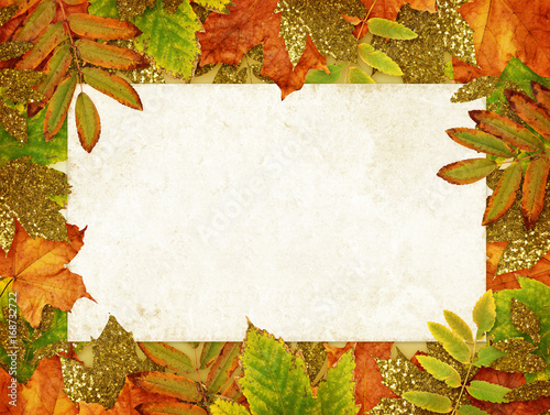 Colorful and golden autumn ...