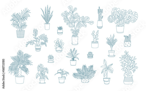 Different monochrome houseplants icons in line art style.