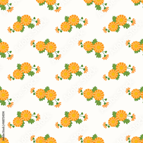 Seamless background image colorful botanic flower leaf plant asteraceae orange daisy